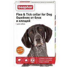 Beaphar ошейник от блох и клещей Flea & Tick для собак, 65 см, оранжевый