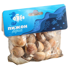 Ракушка для аквариума Пижон Aqua 1152497 бежевый/коричневый