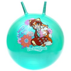 Мяч-попрыгун Играем вместе Enchantimals ( SJ-22(EHMS)), 55 см