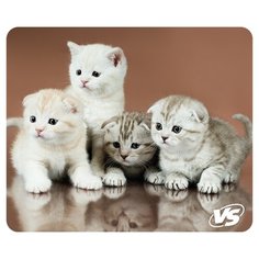 Коврик для компьютерной мыши VS "Cat"