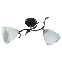 Люстра потолочная JUPITER LIGHTING N10-2709/2, E27, 2х60 Вт