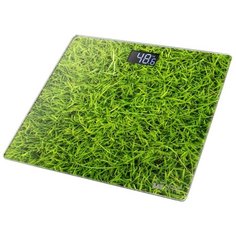 Весы электронные Home Element HE-SC906 Grass
