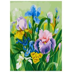 Картина по номерам Белоснежка "Нежные ирисы", 30x40 см