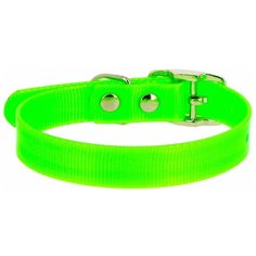 Ошейник КАСКАД Biotan (00212301) 12 мм 20-24 см зеленый
