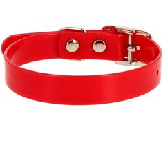 Ошейник КАСКАД Biotan (00212301) 12 мм 20-24 см красный