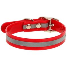Ошейник КАСКАД Biotan (00215302) 15 мм 21-30 см красный