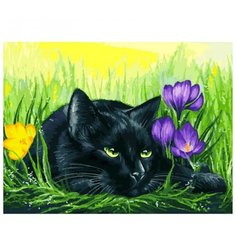Белоснежка Картина по номерам Кот и крокусы 30x40 см (3113-CS)