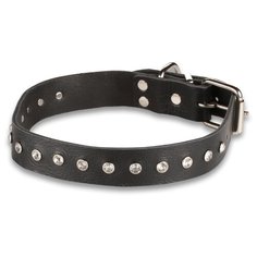 Кожаный ошейник CHOKERZ со стразами для больших и средних собак 25 мм 50 см