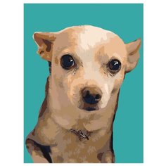 Собака на бирюзовом фоне Раскраска картина по номерам на холсте ets454v2-3040 30х40