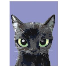 Уголек Раскраска по номерам на холсте Живопись по номерам A556 30х40