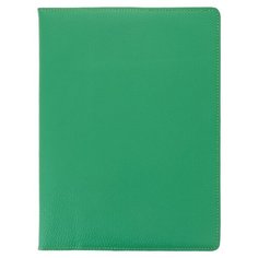 Органайзер для документов формат А5 / 26х20 см Richline ПДГ-401/Зеленый