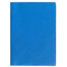 Органайзер для документов формат А4 / 31,5х24 см Richline ПДГ-411/Королевский