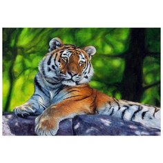 Картина по номерам Molly 20х30 см Амурский тигр