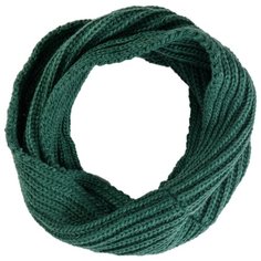 Шарф женский Finn Flare, цвет: зеленый W19-11155_516