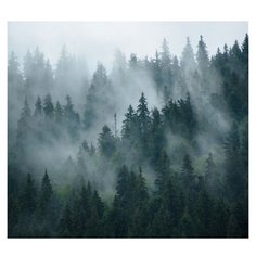 Фотообои 3D "Туман в хвойном лесу" 300x270 (ШхВ)