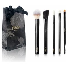 Подарочный набор кистей для макияжа 5 штук Trixy Beauty "EXPRESS"