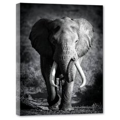 DECORETTO / Картина на холсте Благородный слон, 30х40