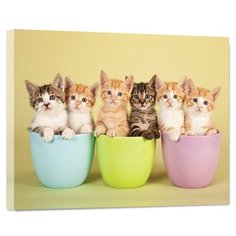 DECORETTO / Картина на холсте Котята в горшках, 30х40