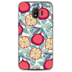 Силиконовый чехол Постер с гранатами на Samsung Galaxy J2 2018 Case Place