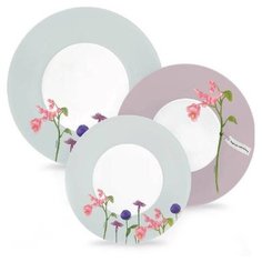 Столовый сервиз ROZANA BEGONIA 19 пр. 6 перс. Luminarc