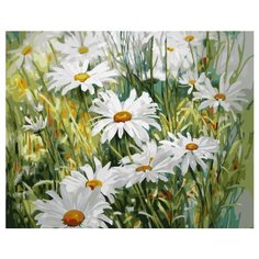 Картина по номерам GX 32263 (GX 28403) Ромашковое лето 40*50 Paintboy