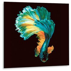 Картина на слекле GS 1161 Декоретто Art Стекло Изумительная рыбка Decoretto