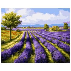 Картина по номерам GX 8998 Лавандовый Прованс 40*50 Paintboy
