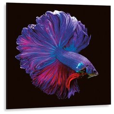 Картина на слекле GS 1160 Декоретто Art Стекло Фиолетовая рыбка петушок Decoretto