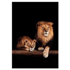Картина на холсте 40x57 см "Лев и львица". Картина, которая украсит и преобразит интерьер комнаты, добавит уюта и тепла в каждый дом. Качественная печать, экологически безопасные материалы. Сделано в России. Производитель: ПринтДекор, PR-PH-182 Ekoramka