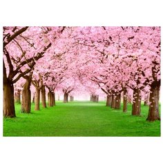 Картина на холсте 57x40 см "Сад в цвету", ПринтДекор, PR-PH-197 Ekoramka