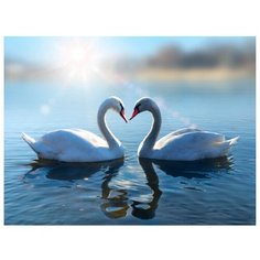 Картина на холсте 40x30 см "Лебеди". Картина, которая украсит и преобразит интерьер комнаты, добавит уюта и тепла в каждый дом. Качественная печать, экологически безопасные материалы. Сделано в России. Производитель: ПринтДекор, PR-PH-192 Ekoramka