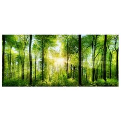 Картина на холсте 90x40 см "Солнечный лес", ПринтДекор, PR-PH-225 Ekoramka