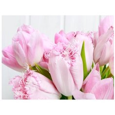 Картина на холсте 40x30 см "Розовые тюльпаны". Картина, которая украсит и преобразит интерьер комнаты, добавит уюта и тепла в каждый дом. Качественная печать, экологически безопасные материалы. Сделано в России. Производитель: ПринтДекор, PR-PH-191 Ekoramka