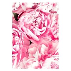 Картина на холсте 40x57 см "Пионы", ПринтДекор, PR-PH-179 Ekoramka