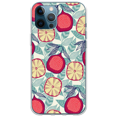 Силиконовый чехол Постер с гранатами на iPhone 12 Pro Max Case Place