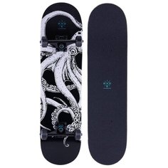Скейтборд Octopus 31.65*8 Ridex