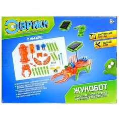 Электронный конструктор «Жукобот», 2 источника энергии ЭВРИКИ