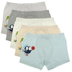 Трусы для мальчиков (боксеры) 7571CH, Цвет: Микс, Размер: 2/3, 5шт. в упаковке Donella