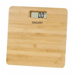 Весы электронные GALAXY GL4809