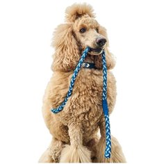 Особо прочный поводок для собак Japan Premium Pet с усиленным светоотражением . Размер М. Синий