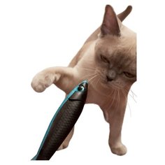 Игрушка с мататаби для кошек Japan Premium Pet в виде пластиковой рыбки с функцией массажа дёсен