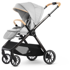 Прогулочная коляска Esspero Traveler