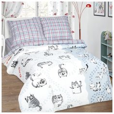 Детское постельное белье Мейсон, 1,5 спальное, поплин Артпостель