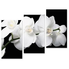 Модульная картина на холсте "Белая орхидея" 150x119 см Modulka.Ru