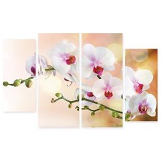 Модульная картина на холсте "Орхидеи на воде" Modulka.Ru