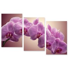 Модульная картина на холсте "Розовые орхидеи" 150x98 см Modulka.Ru