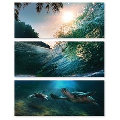 Модульная картина на холсте "Морская черепаха" 120x151 см Modulka.Ru
