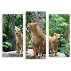 Модульная картина на холсте "Три львицы" 120x93 см Modulka.Ru