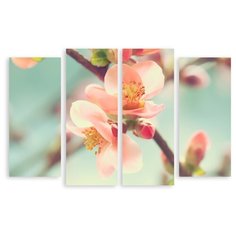 Модульная картина на холсте "Ветка персика" 170x112 см Modulka.Ru
