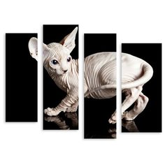 Модульная картина на холсте "Сфинкс" 170x138 см Modulka.Ru
